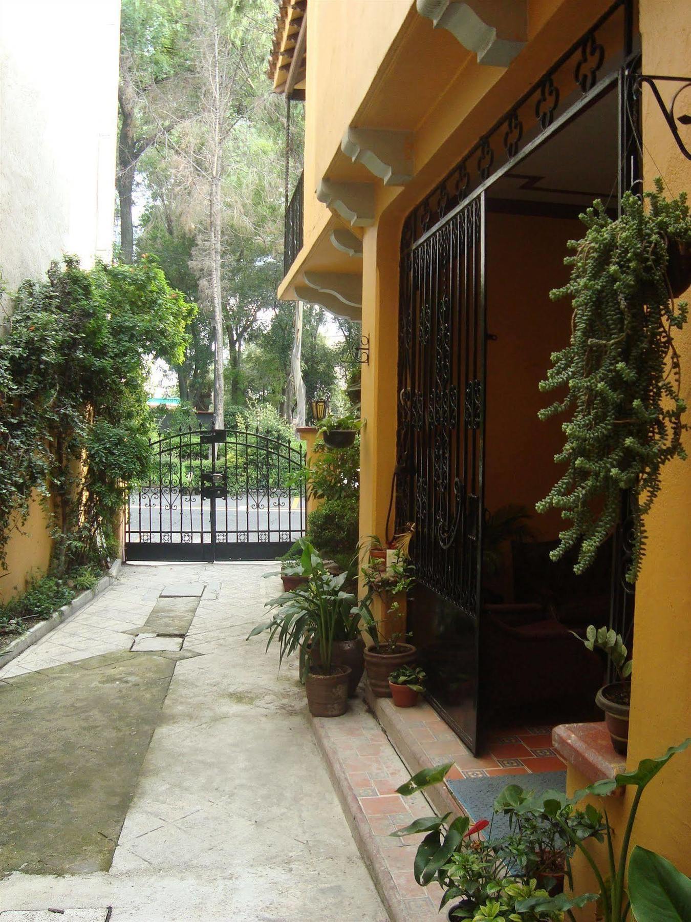 La Querencia Df Bed & Breakfast Mexico City Ngoại thất bức ảnh